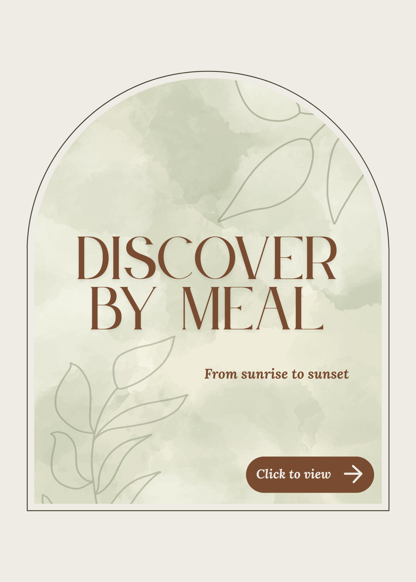 meal (1)